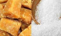 मुजफ्फरनगर मंडी में शीतगृह गुड़ चाकू व चीनी के भाव मुजफ्फरनगर मंडी में शीतगृह गुड़ चाकू व चीनी के भाव