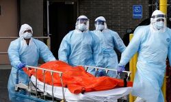 केरल में निपाह वायरस पीड़ित के संपर्क में आये 30 लोगों की रिपोर्ट निगेटिव