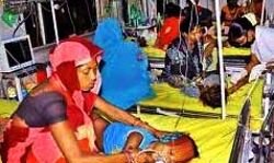 नहीं थम रहा बुखार का प्रकोप- दस और बच्चों की मौत