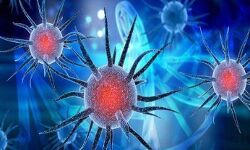 अमेरिका से लौटा यात्री मिला कोरोना संक्रमित-मचा हड़कंप