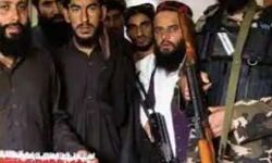 दूतावास पर तालिबान का कब्जा-फूंक दी किताबें-राजदूत ने कसा तंज दूतावास पर तालिबान का कब्जा-फूंक दी किताबें-राजदूत ने कसा तंज