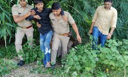 मुठभेड़ में घायल हुआ गौ तस्कर-साथी हो गया फरार-जिंदा गोवंश बरामद मुठभेड़ में घायल हुआ गौ तस्कर-साथी हो गया फरार-जिंदा गोवंश बरामद