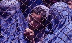 बोले तालिबान-महिलाओं का कैबिनेट में क्या काम? वह केवल पैदा करें बच्चे बोले तालिबान-महिलाओं का कैबिनेट में क्या काम? वह केवल पैदा करें बच्चे