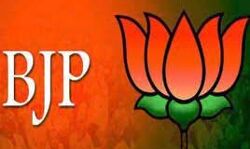 वरिष्ठ भाजपा नेता का निधन वरिष्ठ भाजपा नेता का निधन