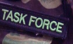 अपराधियों की गिरफ्तारी के लिए टास्क फोर्स गठित