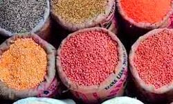 खाद्य तेलों में 733 रुपये तक की उबाल; अनाज महंगा, दाल में घटबढ़ खाद्य तेलों में 733 रुपये तक की उबाल; अनाज महंगा, दाल में घटबढ़