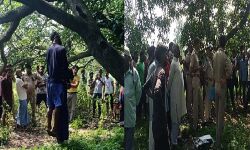 ऑनर किलिंग-आम के पेड़ पर फांसी के फंदे पर लटके मिले प्रेमी प्रेमिका ऑनर किलिंग-आम के पेड़ पर फांसी के फंदे पर लटके मिले प्रेमी प्रेमिका