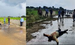 आतंक का पर्याय लखटकिया बदमाश एनकाउंटर में ढेर-कारोबारियों को राहत आतंक का पर्याय लखटकिया बदमाश एनकाउंटर में ढेर-कारोबारियों को राहत