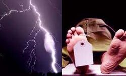 खेत की कर रहे थे रखवाली- खुद की नहीं बची जान- पहुंची पुलिस और SDM खेत की कर रहे थे रखवाली- खुद की नहीं बची जान- पहुंची पुलिस और SDM