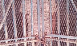 दुष्कर्म के मामले का वांछित आरोपी गिरफ्तार दुष्कर्म के मामले का वांछित आरोपी गिरफ्तार