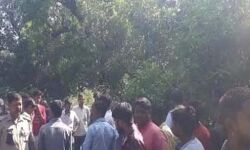 भीषण हादसा-डंपर और टैक्सी की टक्कर में तीन की मौत