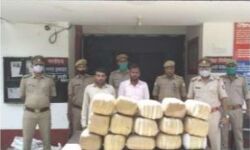 75 किलो गांजा बरामद,दो तस्कर गिरफ्तार