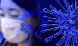 नहीं मिल रही राहत आज फिर बढे कोरोना के मरीज नहीं मिल रही राहत आज फिर बढे कोरोना के मरीज