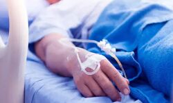 डेंगू और वायरल बुखार का प्रकोप जारी- एडमिट हुए 110 मरीज डेंगू और वायरल बुखार का प्रकोप जारी- एडमिट हुए 110 मरीज