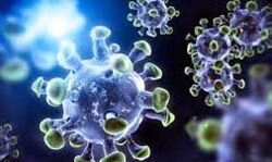 मिली राहत कोरोना के मरीज़ो में आयी कमी एहतियात जारी मिली राहत कोरोना के मरीज़ो में आयी कमी एहतियात जारी