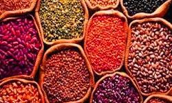 खाद्य तेलों में मिलाजुला रुख, उड़द और अरहर दाल सस्ती खाद्य तेलों में मिलाजुला रुख, उड़द और अरहर दाल सस्ती