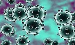 334 और कोरोना संक्रमितों की मौत