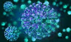 संक्रमितों की बनिस्बत स्वस्थ होने वालों की संख्या में निरंतर इजाफा संक्रमितों की बनिस्बत स्वस्थ होने वालों की संख्या में निरंतर इजाफा