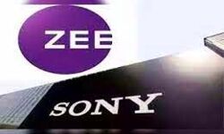 ZEE एंटरनेटमेंट के सोनी पिक्चर्स में विलय को सैद्धांतिक मंजूरी ZEE एंटरनेटमेंट के सोनी पिक्चर्स में विलय को सैद्धांतिक मंजूरी