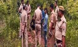 तीन बहनों के जंगल में कंकाल मिलने से सनसनी तीन बहनों के जंगल में कंकाल मिलने से सनसनी