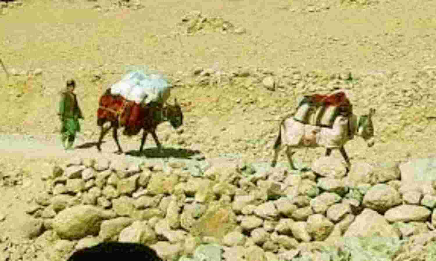 लोगों को अपनी जमीनें छोड़ने को मजबूर कर रहा तालिबान: मोहाकिक