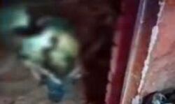 बड़ी ने छाेटी बहन की हत्याकर शव कमरे में किया दफन बड़ी ने छाेटी बहन की हत्याकर शव कमरे में किया दफन