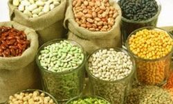 चना कांटा,मसूर,उड़द सस्ती-दालों में गिरावट