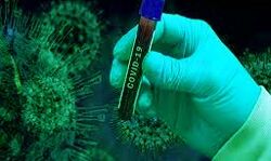 कोरोना के सक्रिय मरीज़ो में हुई दो हजार की बढ़ोतरी कोरोना के सक्रिय मरीज़ो में हुई दो हजार की बढ़ोतरी