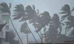 गहरे दबाव में कमजोर पड़ा चक्रवाती तूफान गुलाब गहरे दबाव में कमजोर पड़ा चक्रवाती तूफान गुलाब