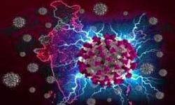 कोरोना के सक्रिय मामले 191 दिन के न्यूनतम स्तर पर कोरोना के सक्रिय मामले 191 दिन के न्यूनतम स्तर पर