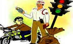 यातायात नियमों की अनदेखी करने वाले 264 लोगों का चालान