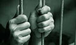 जुर्म किया कबूल- आरोपियों को भेजा जेल जुर्म किया कबूल- आरोपियों को भेजा जेल