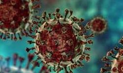 मिली राहत कोरोना के मामलो की धीमी पड़ी रफ्तार मिली राहत कोरोना के मामलो की धीमी पड़ी रफ्तार