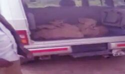 बोरे में बंद मिले बंदरों के शव, मच गया हडकंप