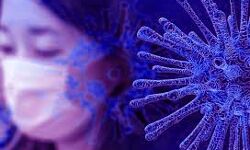 कोरोना का कहर जारी नये मामलो में बढ़ोतरी कोरोना का कहर जारी नये मामलो में बढ़ोतरी