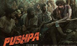 जानिए- कब रिलीज़ होगी अल्लू अर्जुन स्टारर पुष्पा - द राइज जानिए- कब रिलीज़ होगी अल्लू अर्जुन स्टारर पुष्पा - द राइज
