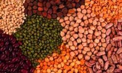 जिंसों में टिकाव जिंसों में टिकाव