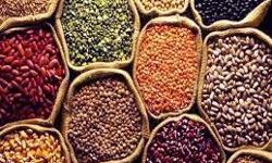 दालों में तेजी, चुनिंदा तेलों में घटबढ़, चीनी गुड़ स्थिर दालों में तेजी, चुनिंदा तेलों में घटबढ़, चीनी गुड़ स्थिर