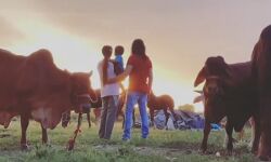 सपना चौधरी ने वीडियो को किया अपलोड-बेटे के नाम का किया ऐलान-खेलता आया नजर