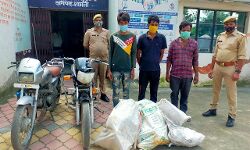 चोरों पर शामली पुलिस का हंटर- तीन गिरफ्तार चोरों पर शामली पुलिस का हंटर- तीन गिरफ्तार