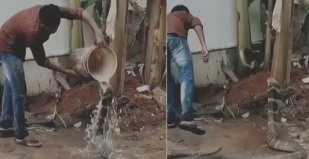 सांप को पानी पिलाया और नहलाया- वीडियो हुई वायरल सांप को पानी पिलाया और नहलाया- वीडियो हुई वायरल
