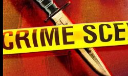 नहीं भाया रिश्तेदारों के साथ पत्नी का डांस- पेचकस घोंपकर कर हत्या नहीं भाया रिश्तेदारों के साथ पत्नी का डांस- पेचकस घोंपकर कर हत्या