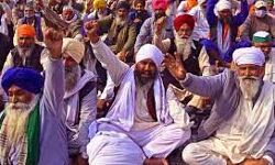 किसान आंदोलन के साथ जुड़ाव पर निहंग जत्थों की 27 अक्टूबर को बैठक किसान आंदोलन के साथ जुड़ाव पर निहंग जत्थों की 27 अक्टूबर को बैठक