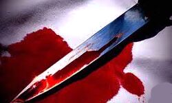 मिलने के बहाने से बुला कर की महिला की हत्या मिलने के बहाने से बुला कर की महिला की हत्या