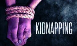 सड़क मार्ग से कम से कम 30 लोगों का अपहरण सड़क मार्ग से कम से कम 30 लोगों का अपहरण