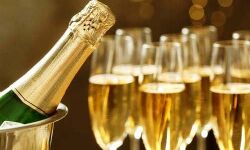 विधान सभा उप चुनाव - 79 लाख रुपए से ज्यादा की अवैध शराब एवं नकदी जब्त विधान सभा उप चुनाव - 79 लाख रुपए से ज्यादा की अवैध शराब एवं नकदी जब्त