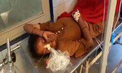 गोभी की सब्जी ने ले ली पिता-पुत्र की जान-परिवार के तीन लोग गंभीर