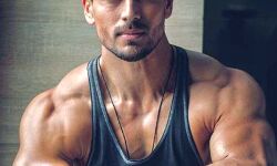 टाइगर श्रॉफ ने फिल्म गणपत के लिये तैयारियां शुरू की टाइगर श्रॉफ ने फिल्म गणपत के लिये तैयारियां शुरू की