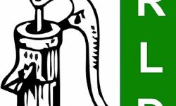 बेरहम सरकार को उखाड़ फेंकेगी पब्लिक- बिजली का पिछला बिल होगा माफ- रालोद