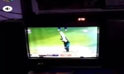 क्रिकेट में पाक प्रेम-लगाए स्टेटस व नारे-दो लोगों पर मुकदमा दर्ज क्रिकेट में पाक प्रेम-लगाए स्टेटस व नारे-दो लोगों पर मुकदमा दर्ज